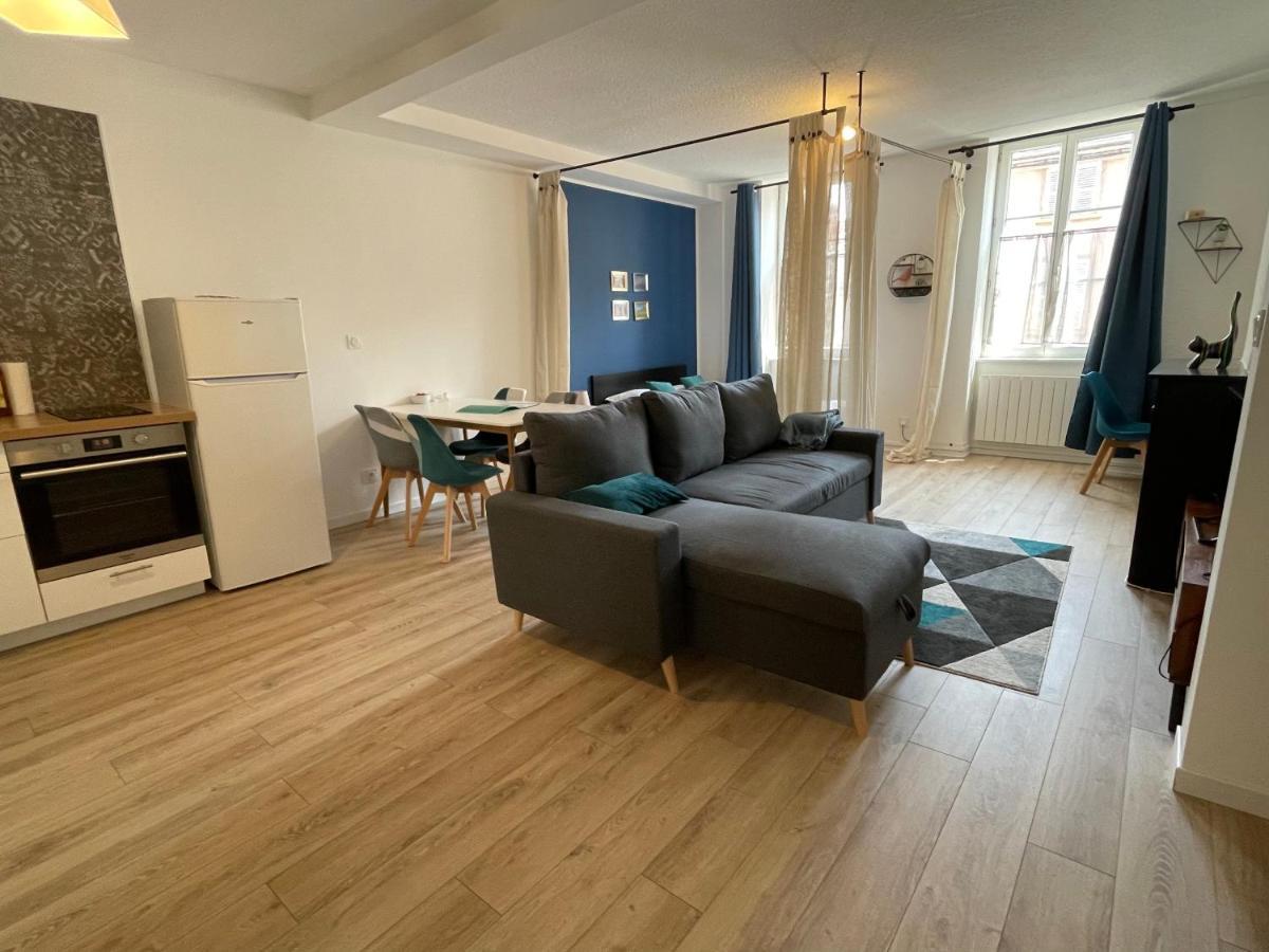 شقة Grand Studio Lumineux Et Idealement Place. Mâcon المظهر الخارجي الصورة