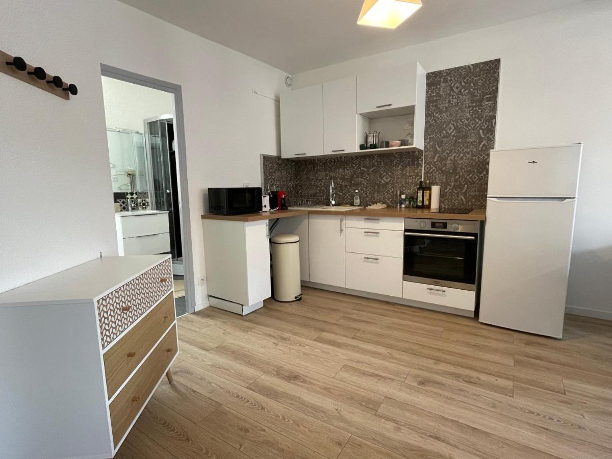 شقة Grand Studio Lumineux Et Idealement Place. Mâcon المظهر الخارجي الصورة