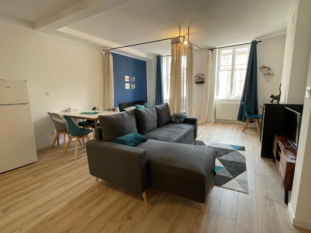 شقة Grand Studio Lumineux Et Idealement Place. Mâcon المظهر الخارجي الصورة